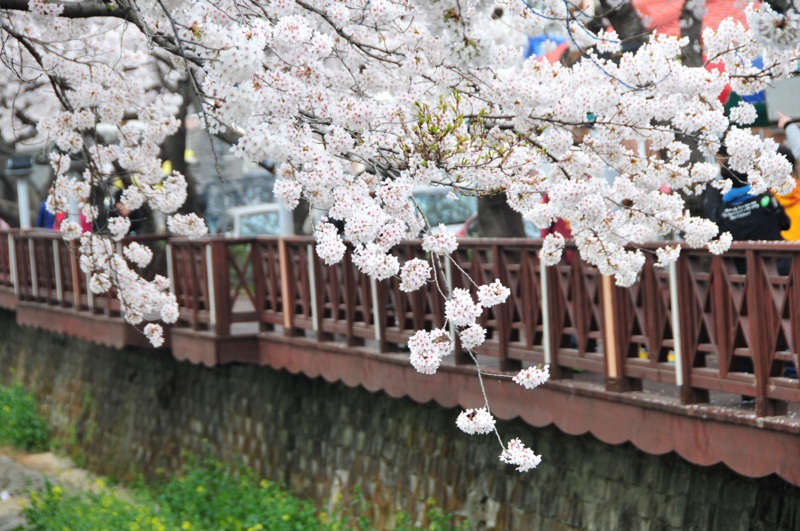 DSC_8403 [800x600].jpg