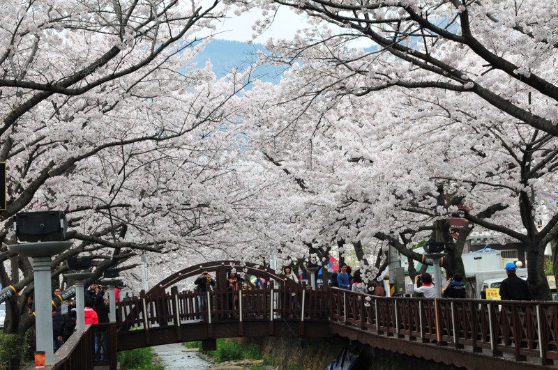 DSC_8407 [800x600].jpg