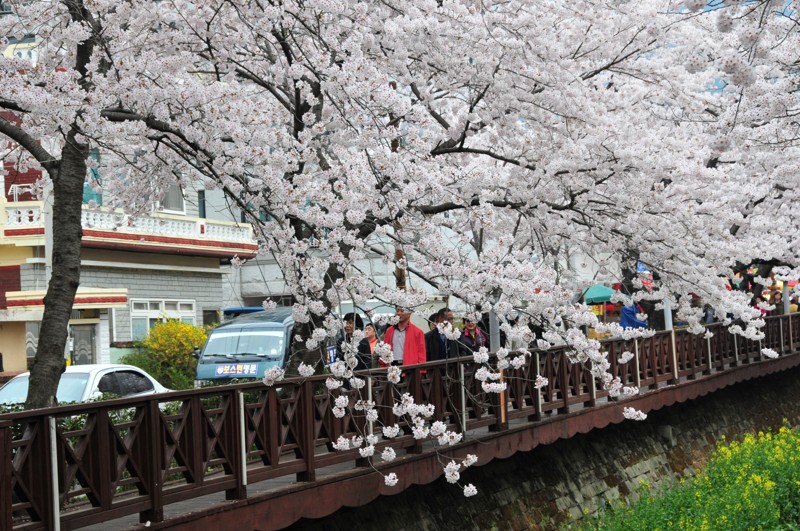 DSC_8416 [800x600].jpg