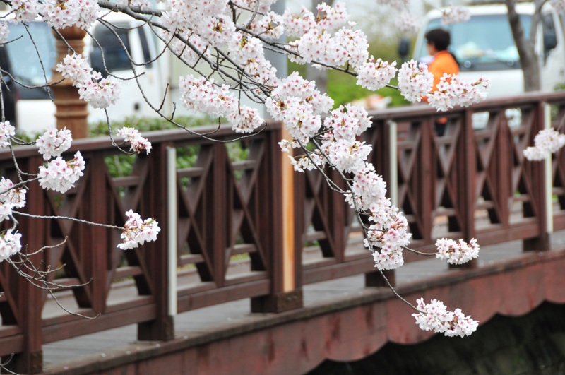 DSC_8417 [800x600].jpg