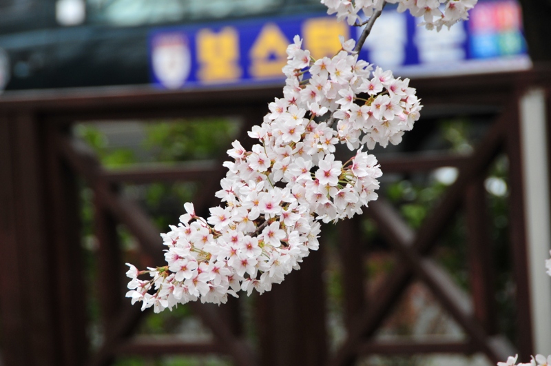 DSC_8426 [800x600].jpg