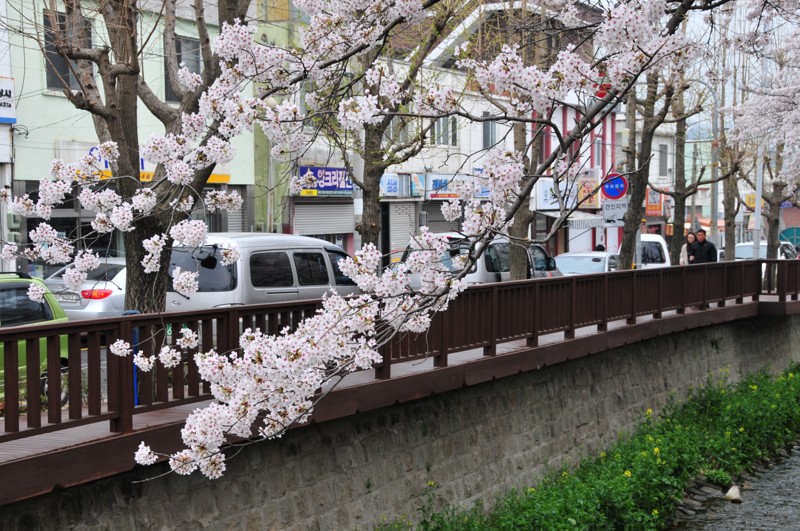 DSC_8460 [800x600].jpg