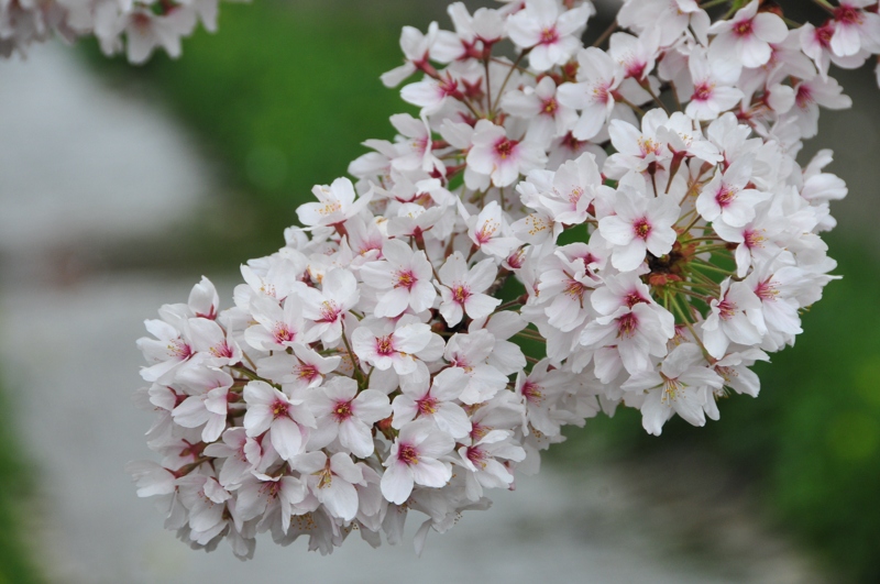 DSC_8464 [800x600].jpg