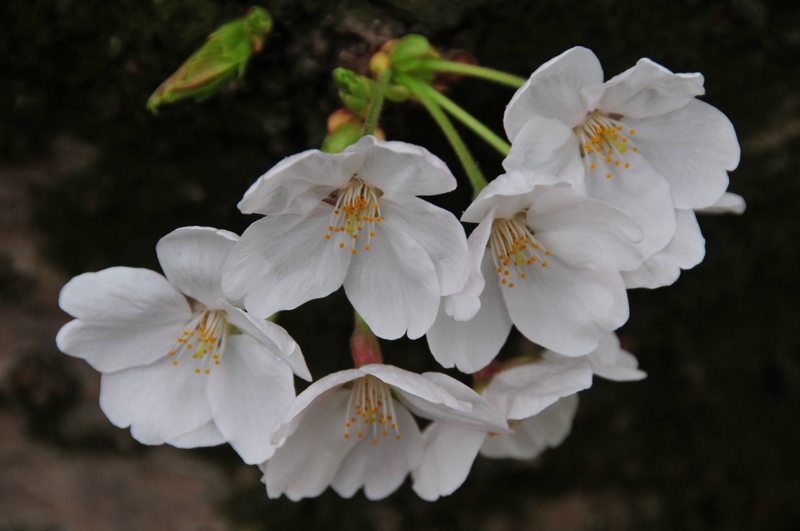 DSC_8479 [800x600].jpg