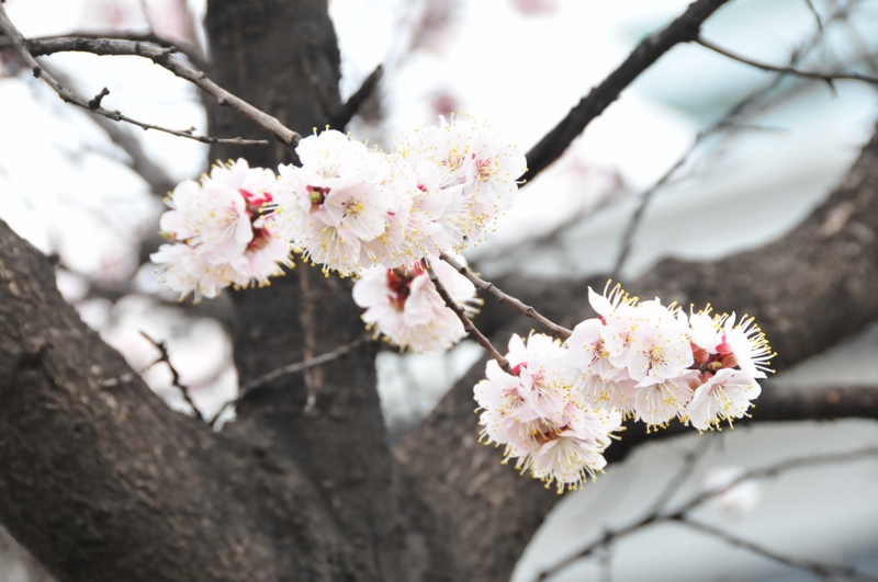 DSC_8855 [800x600].jpg