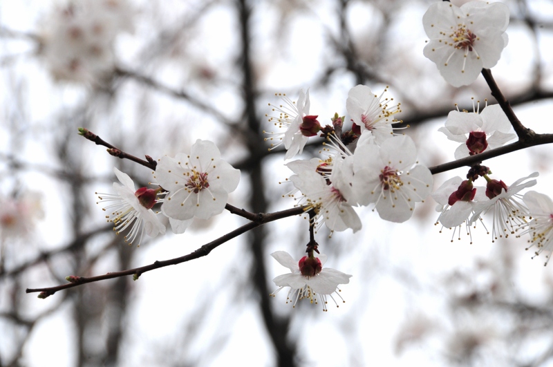 DSC_8858 [800x600].jpg