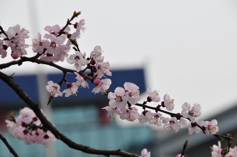 DSC_8861 [800x600].jpg