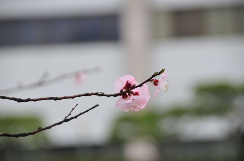 DSC_8866 [800x600].jpg