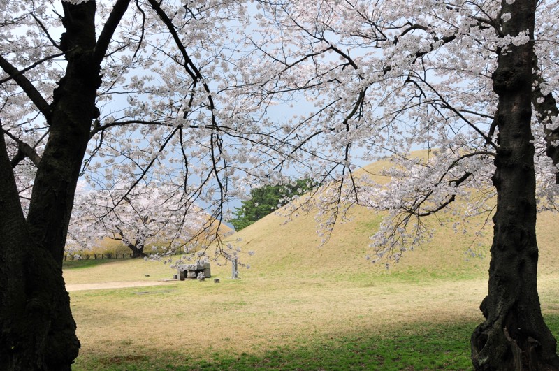 DSC_8572 [800x600].jpg