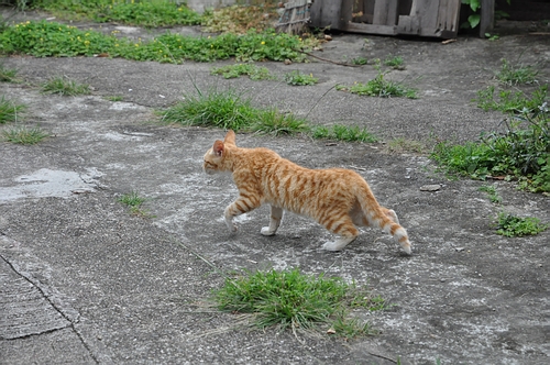 DSC_0997.JPG