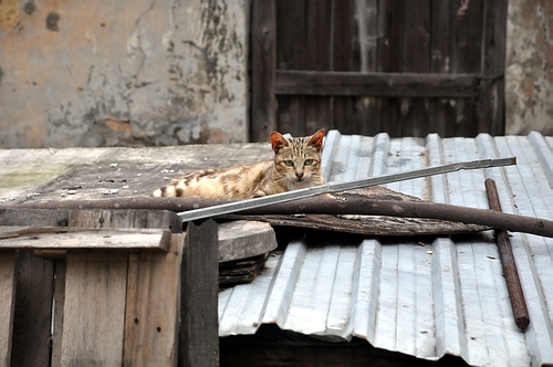 DSC_0999.JPG