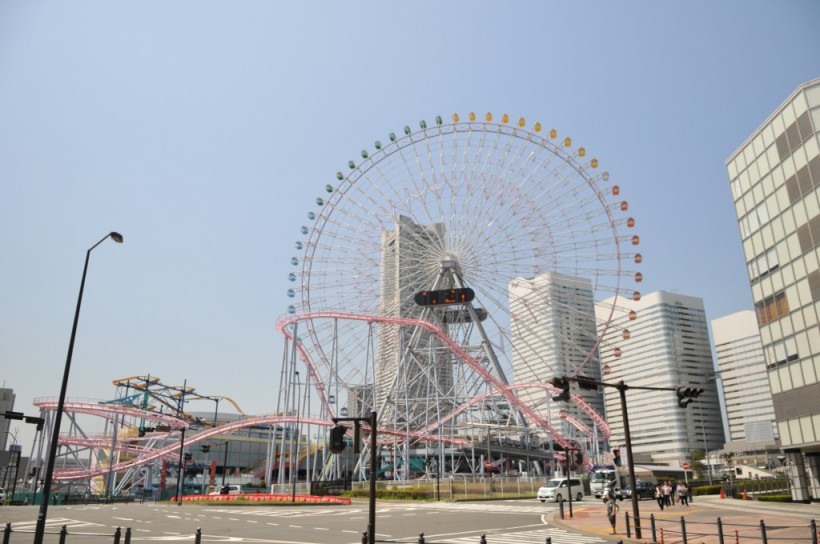 DSC_4802.jpg