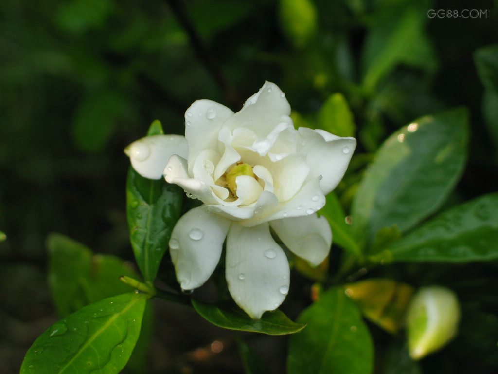 2009041414095593.jpg