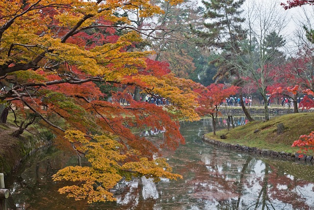 _MG_2236_N.jpg
