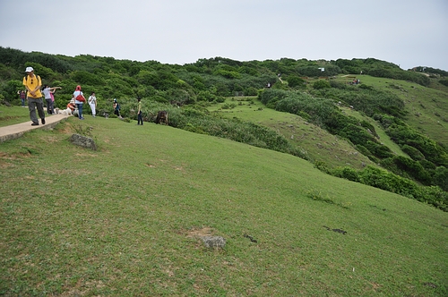 DSC_0105.JPG