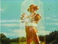 5 金剛防護罩.jpg