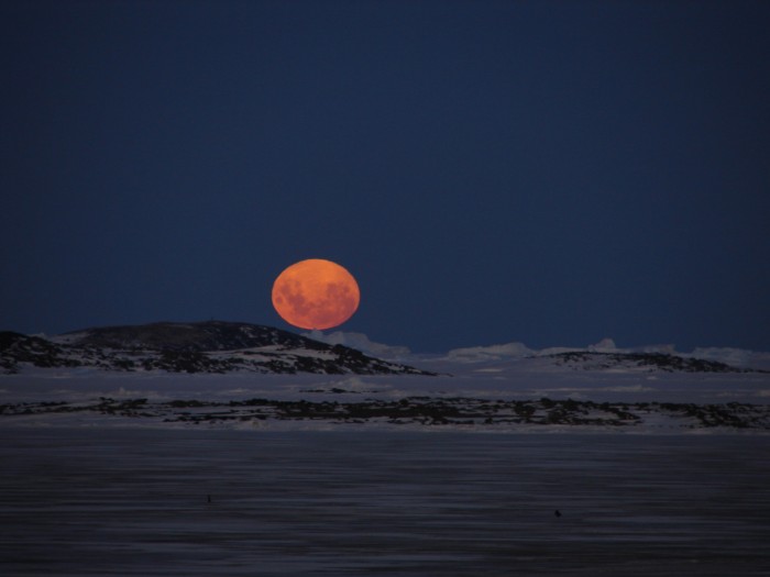 moonantarctica_behrens_f27.jpg