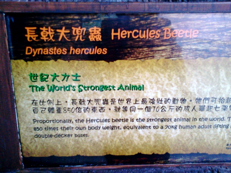 2012-05-03 16.53.48_conew1.jpg