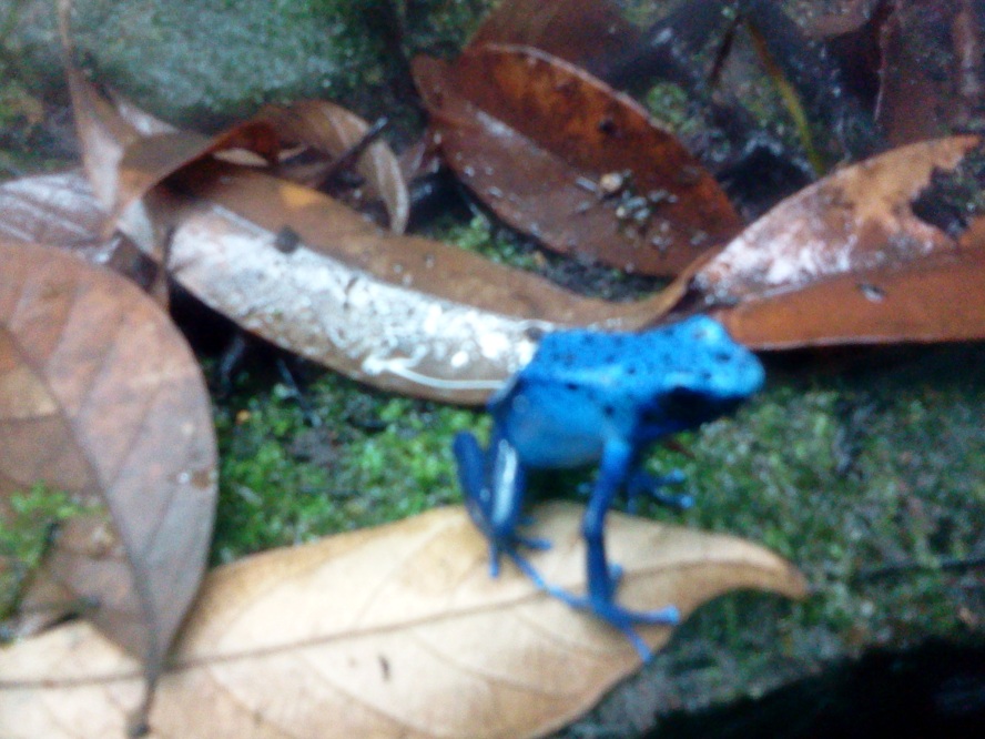 2012-05-03 17.00.00_conew1.jpg