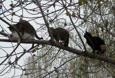 温馨提示 不要插隊.jpg