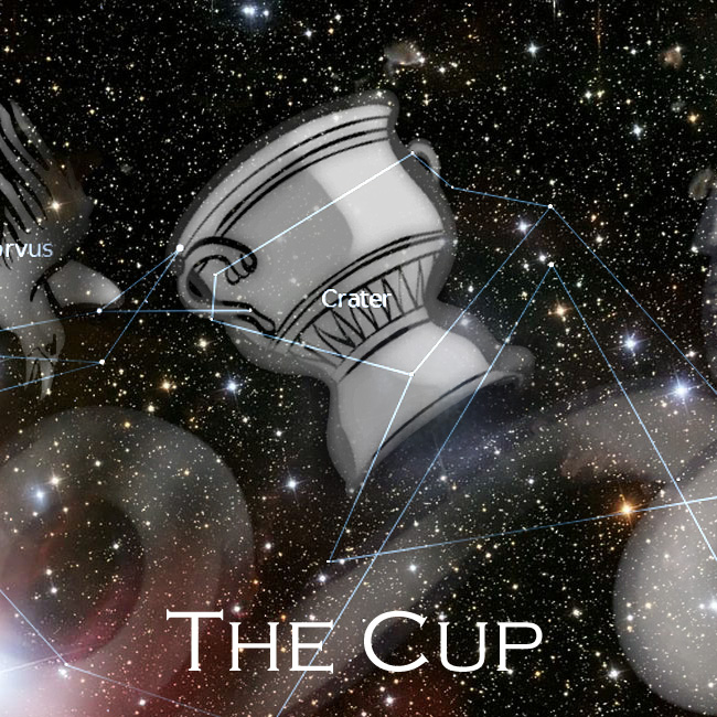 16) cup.jpg