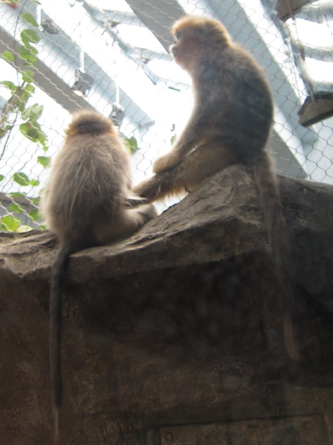 IMG_0695_conew1.jpg