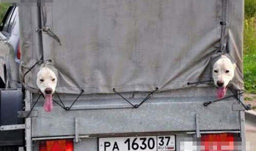 死慳. 唔開空調.jpg