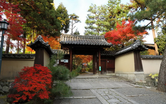 maple leaves (8).jpg