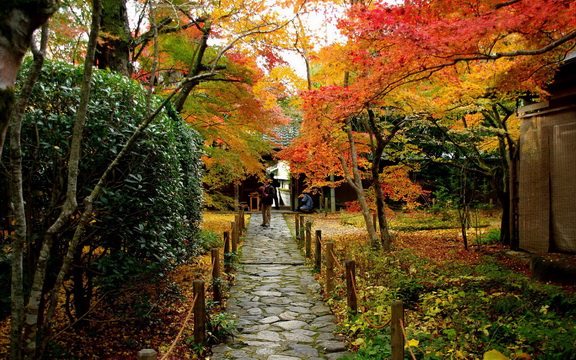 maple leaves (20).jpg