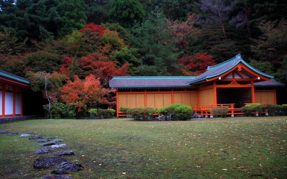 maple leaves (24).jpg