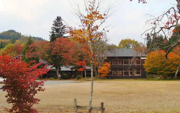 maple leaves (32).jpg