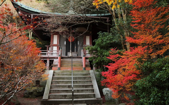 maple leaves (34).jpg