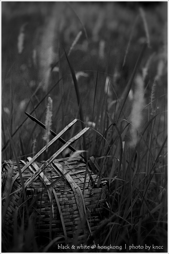 black & white (1)  002.jpg