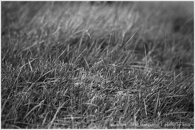 black & white (1)  012.jpg