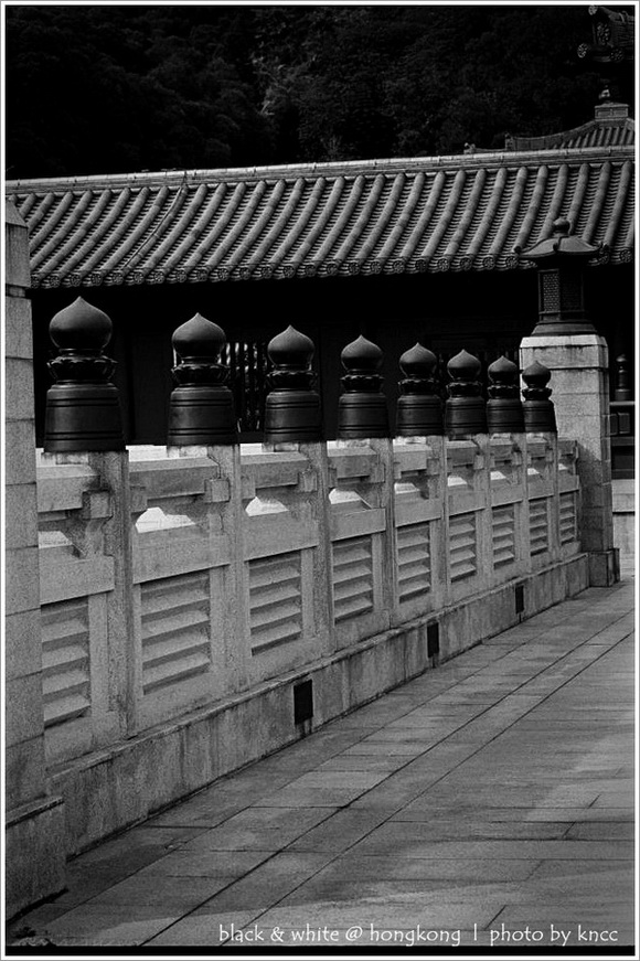 black & white (1)  013.jpg