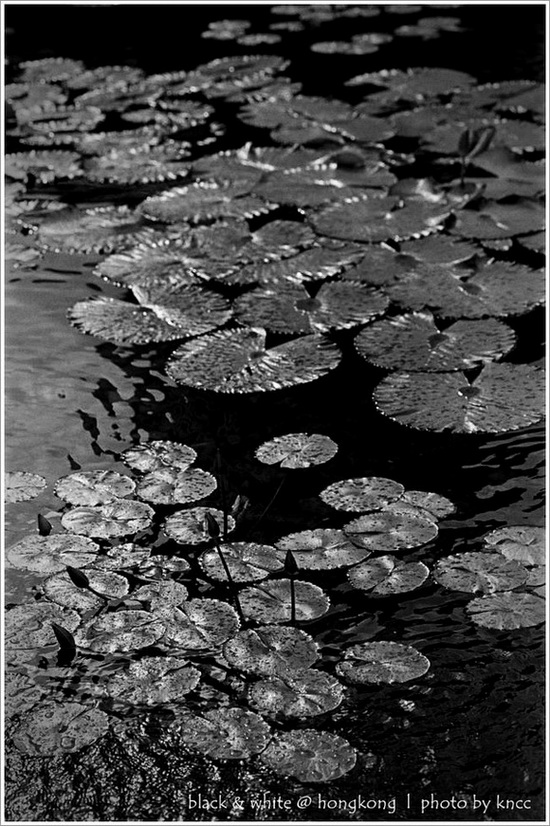 black & white (1)  019.jpg