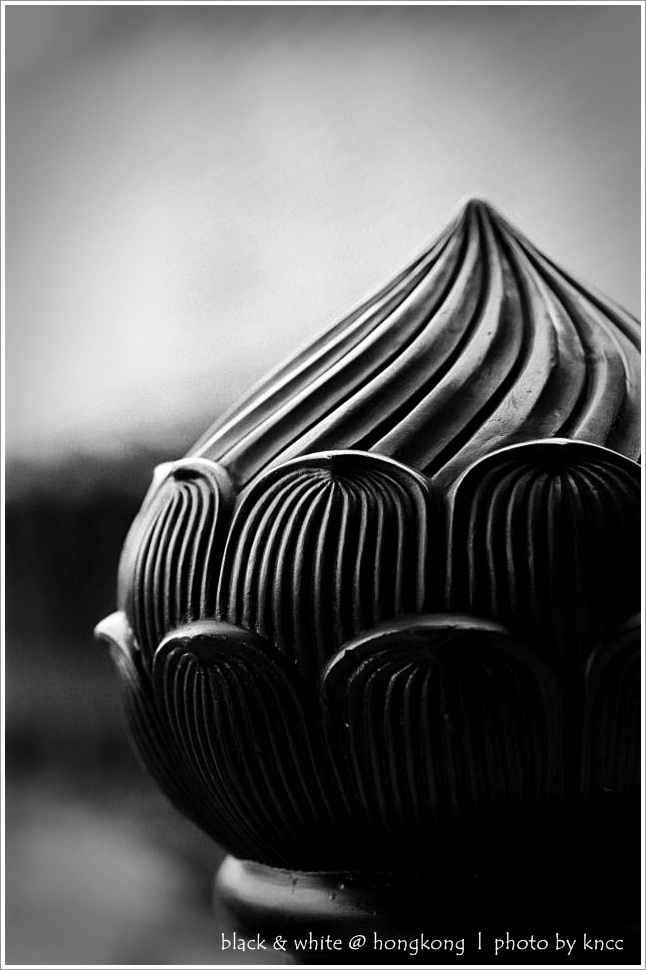 black & white (1)  021.jpg