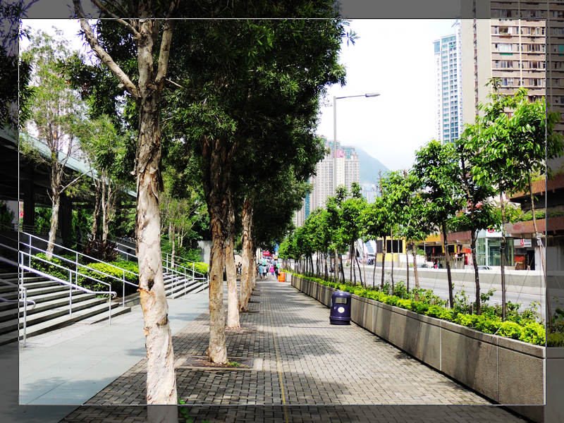 DSCN1631R.jpg