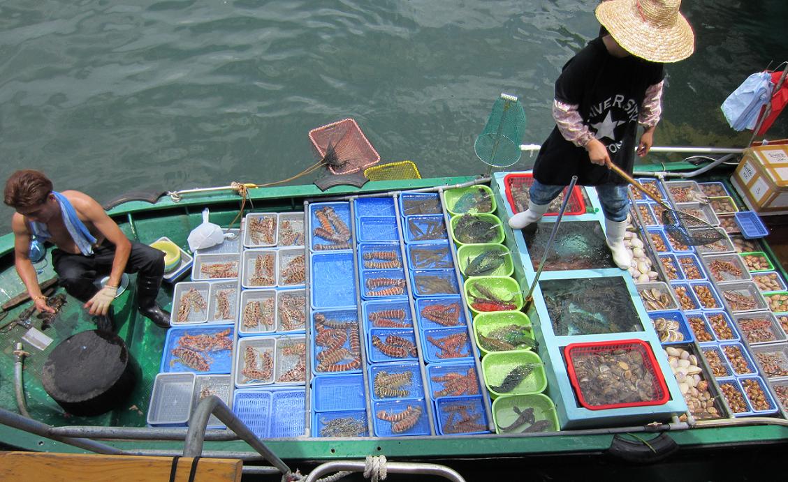 SaiKung_Fish.JPG