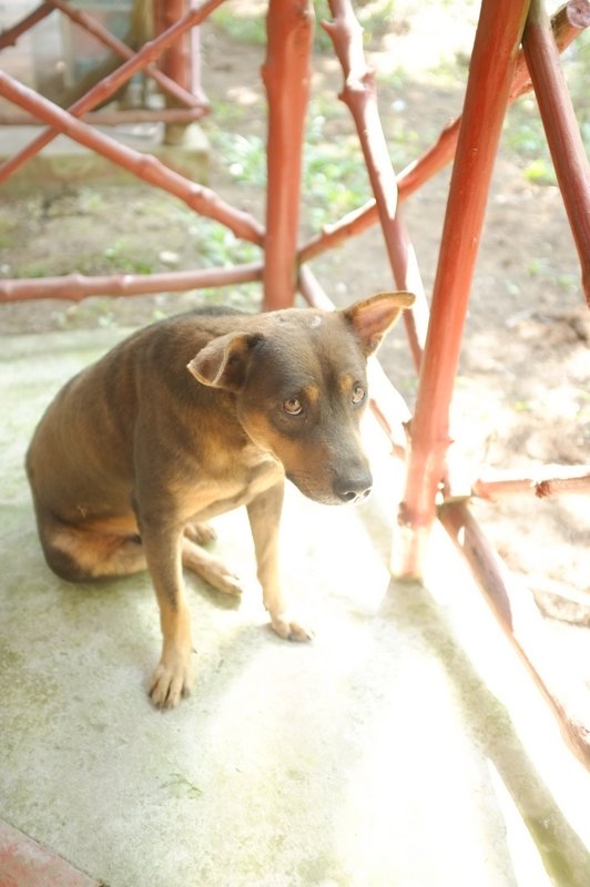 DSCF2988.JPG