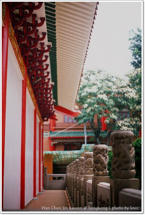 雲泉仙館~夏荷 003.jpg