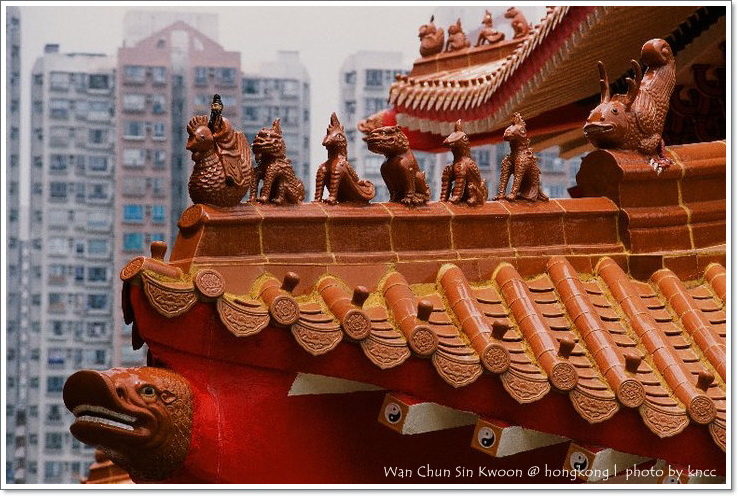 雲泉仙館~夏荷 004.jpg