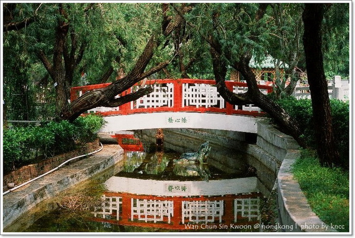 雲泉仙館~夏荷 006.jpg