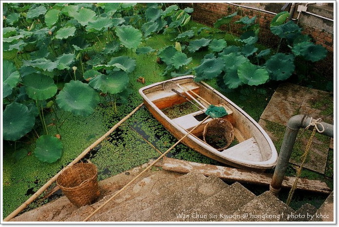 雲泉仙館~夏荷 011.jpg