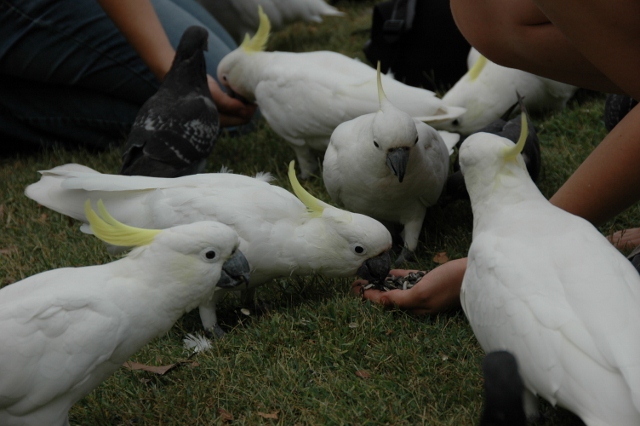 DSC_4192 (640x426).jpg