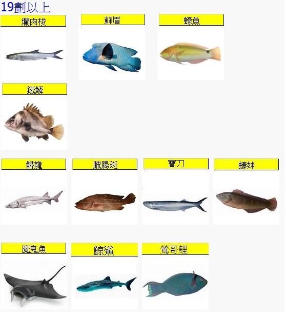 Fish19.jpg