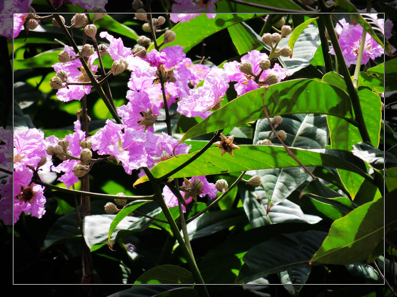 DSCN1783.jpg