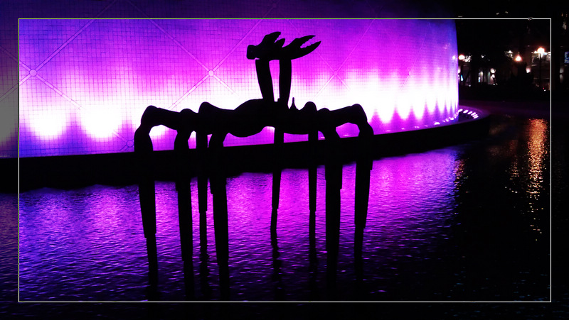 IMAG0669R.jpg