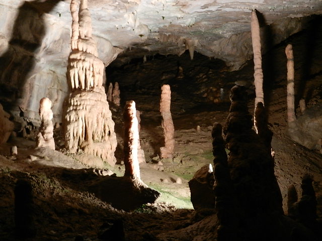DSCN8698.JPG