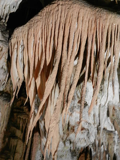 DSCN8715.JPG
